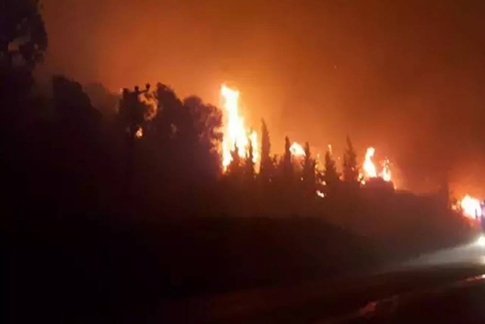 Hatay'da orman yangını